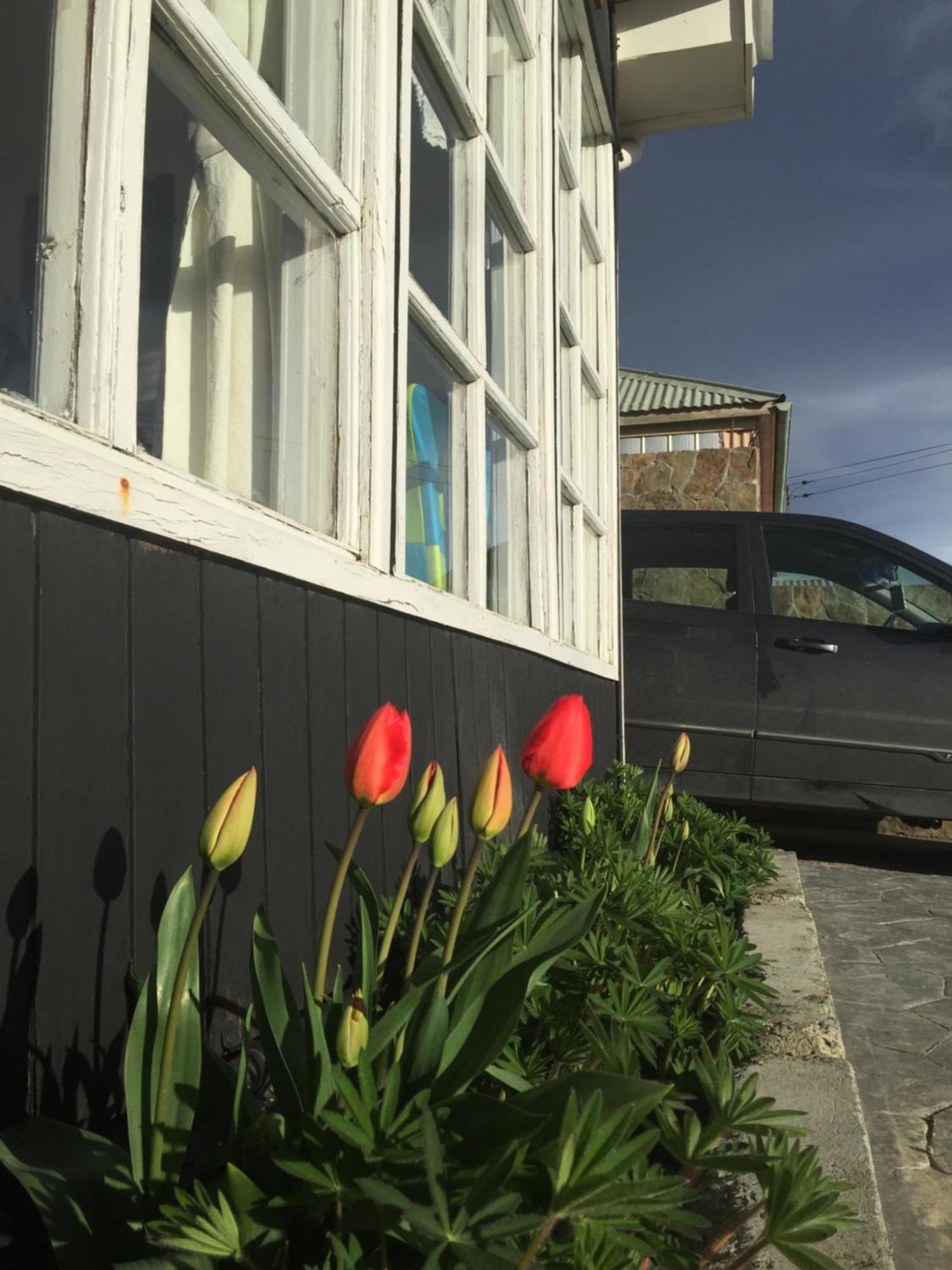 Bed and Breakfast Big Bang Patagonia - Traveler Assistance Пуэрто-Наталес Экстерьер фото